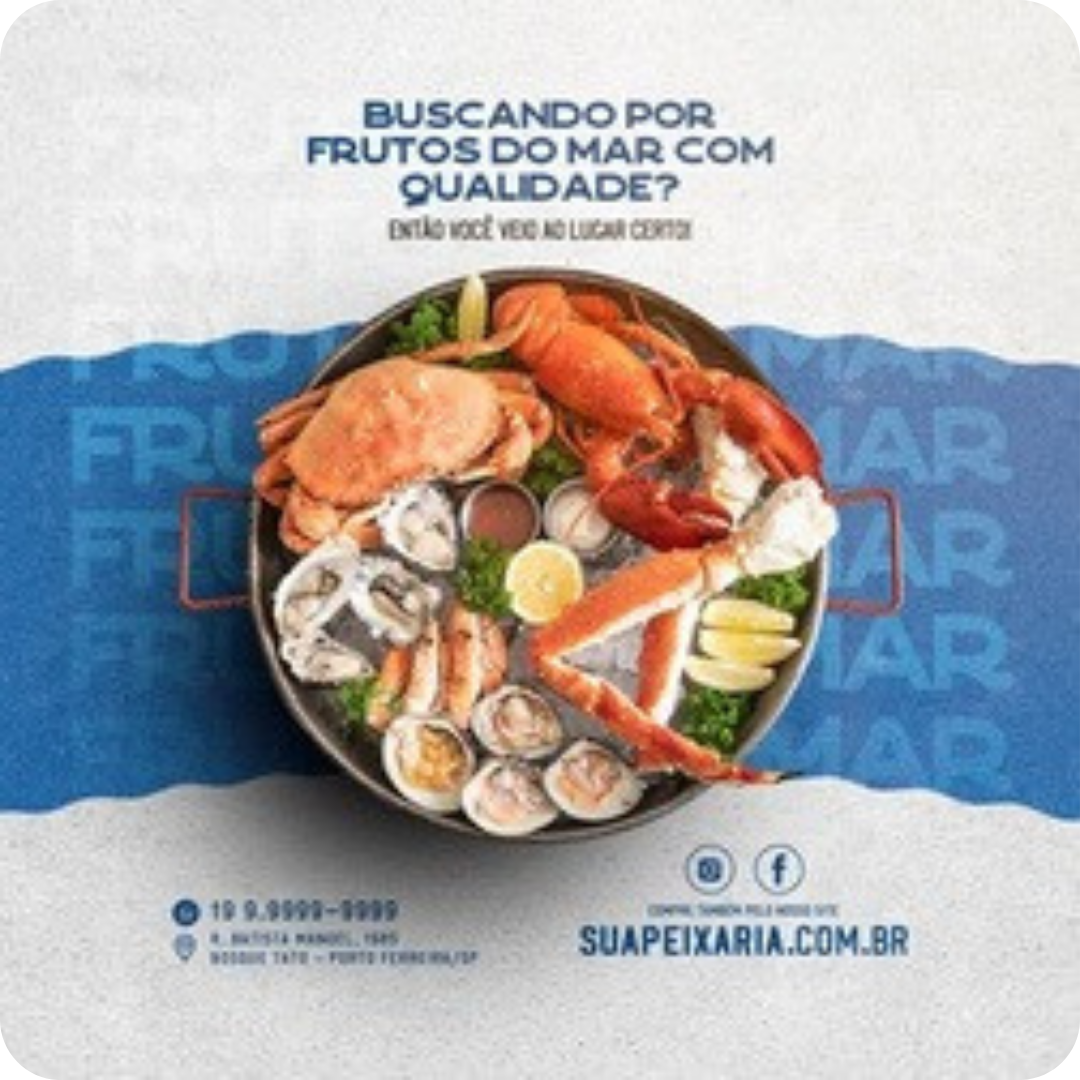 Portafolio 5